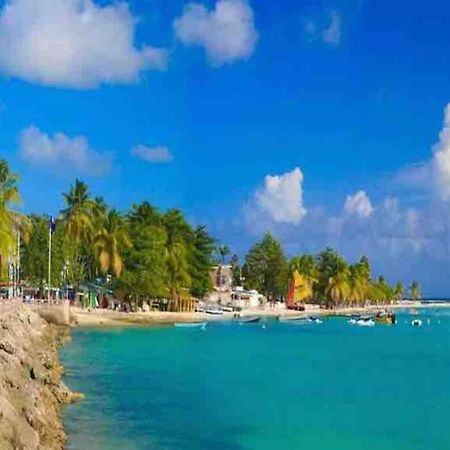 Casa Tropica Sainte-Anne Daire Dış mekan fotoğraf